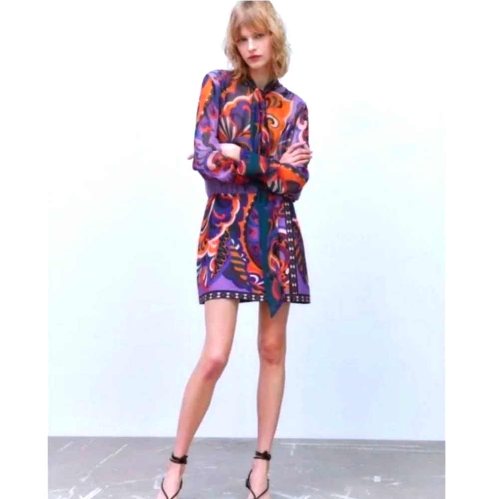 Zara Multicolor Tie Neck Long Sleeve Dress